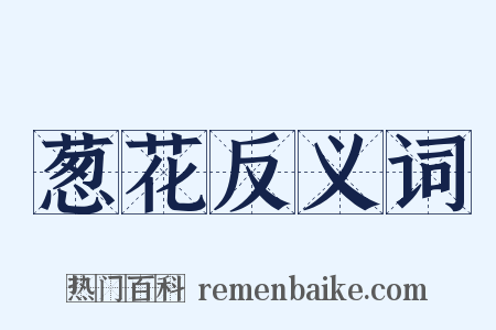 葱花反义词是什么意思的图片